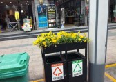 環(huán)衛(wèi)分類垃圾桶上栽花，成為城市風景線