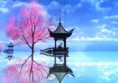 國(guó)際垃圾分類(lèi)回收現(xiàn)狀
